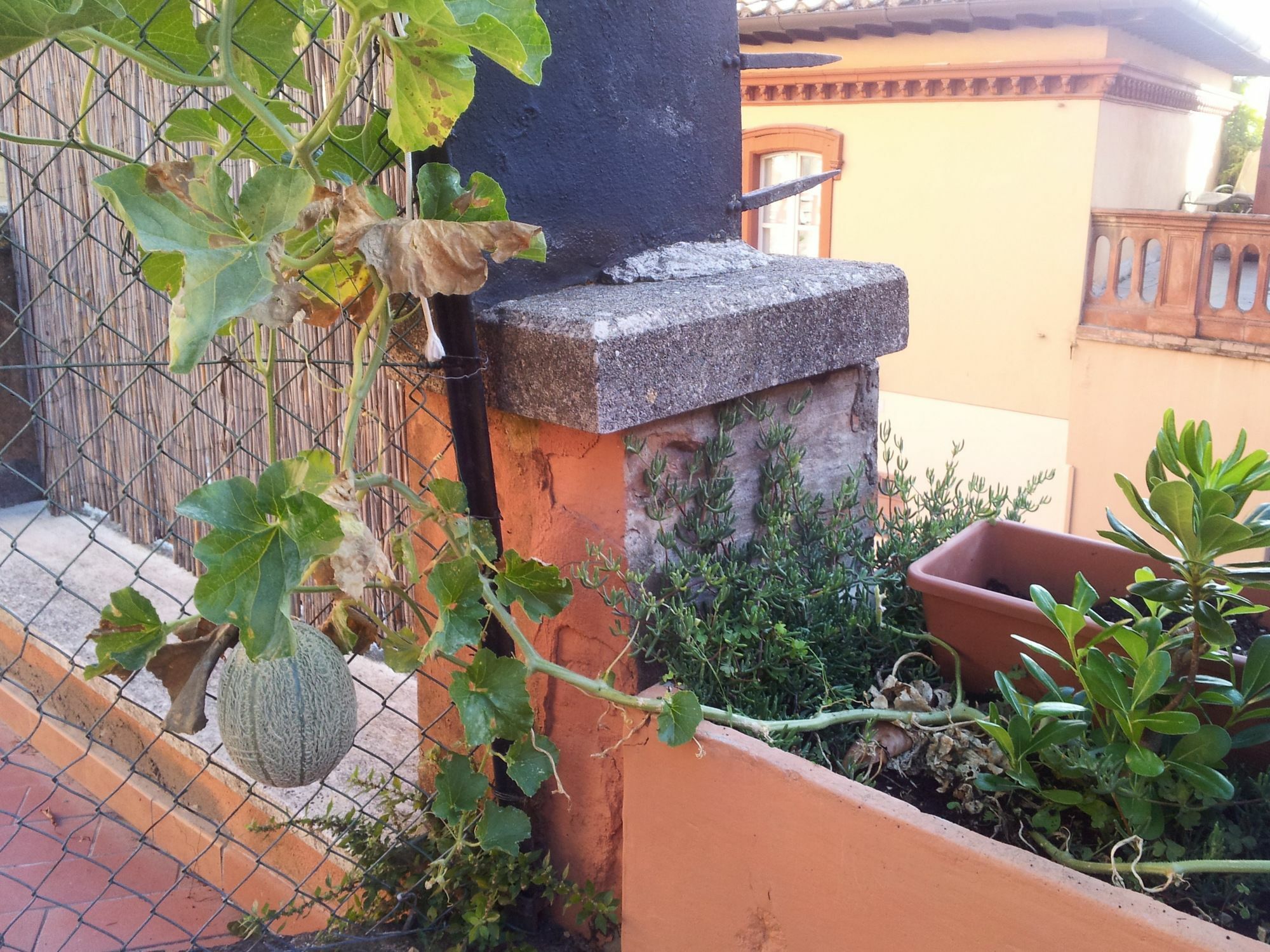 Al Giardino Di Alice Panzió Perugia Kültér fotó
